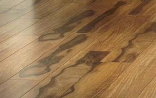 floor forever