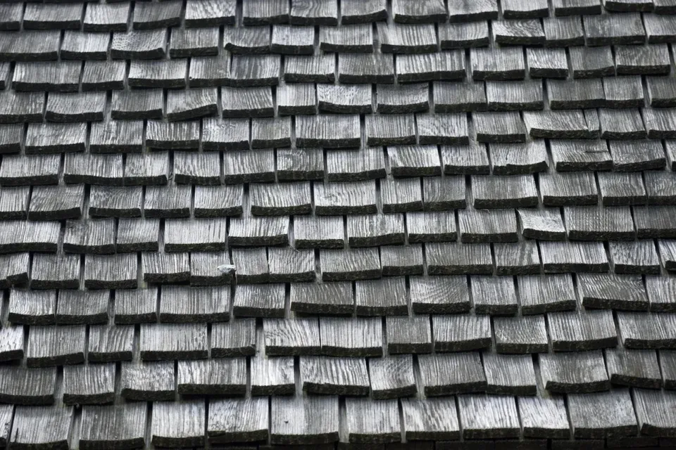 Historie dřeva Historie dřeva