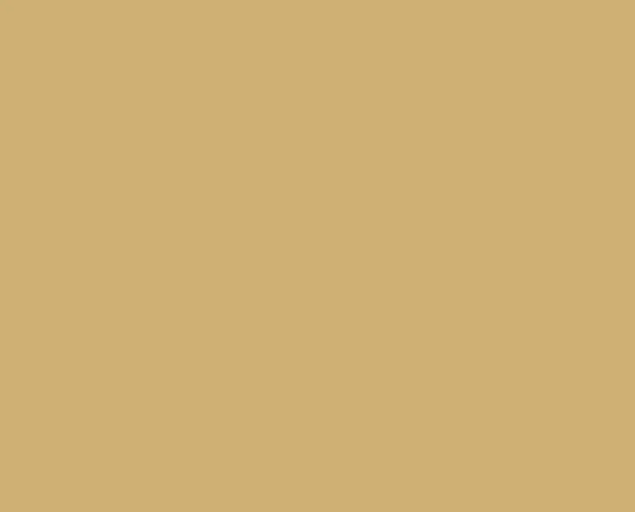 Ral 1002 Ral 1002