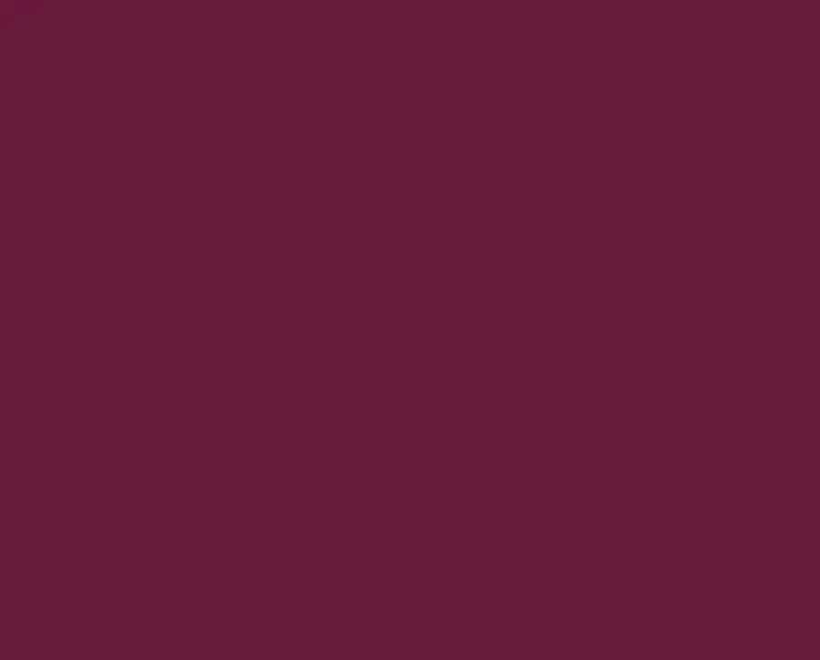 Ral 4004 Ral 4004