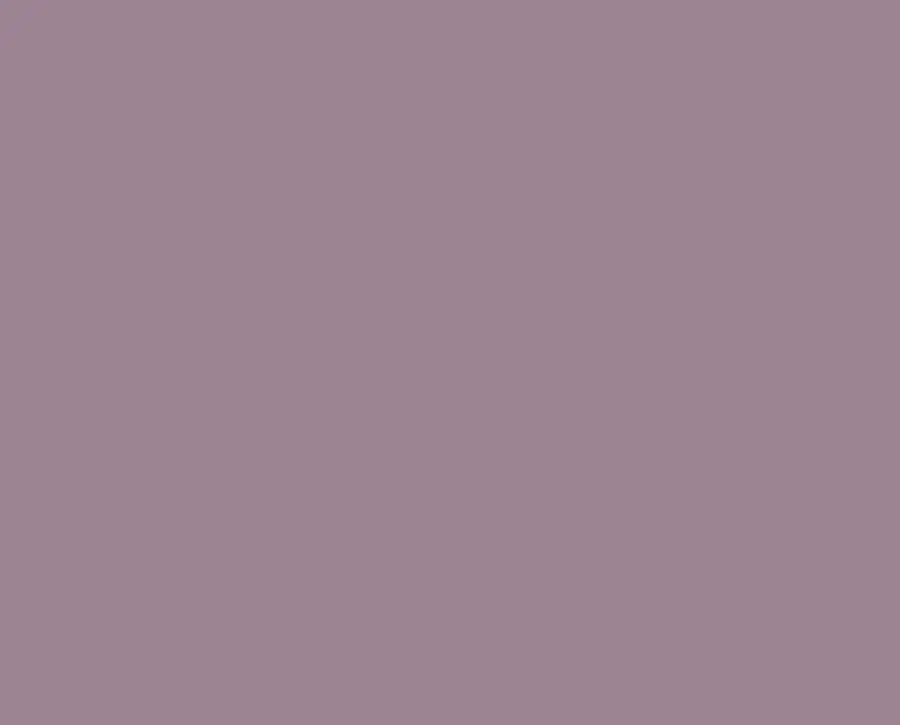 Ral 4009 Ral 4009