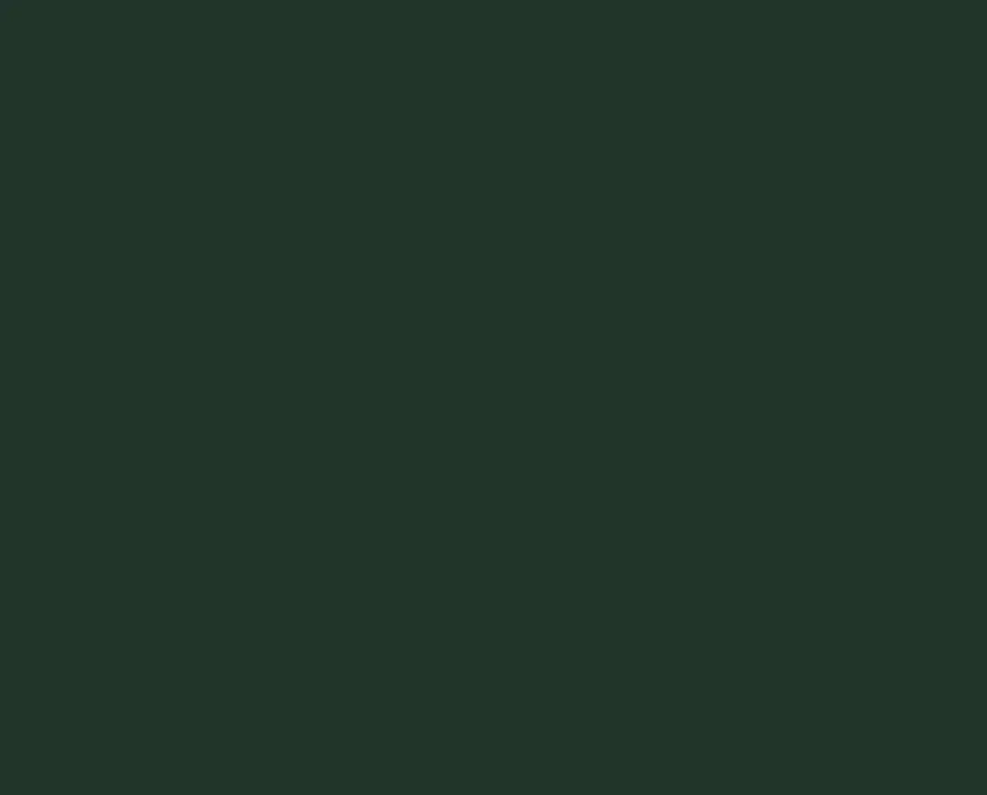 Ral 6009 Ral 6009