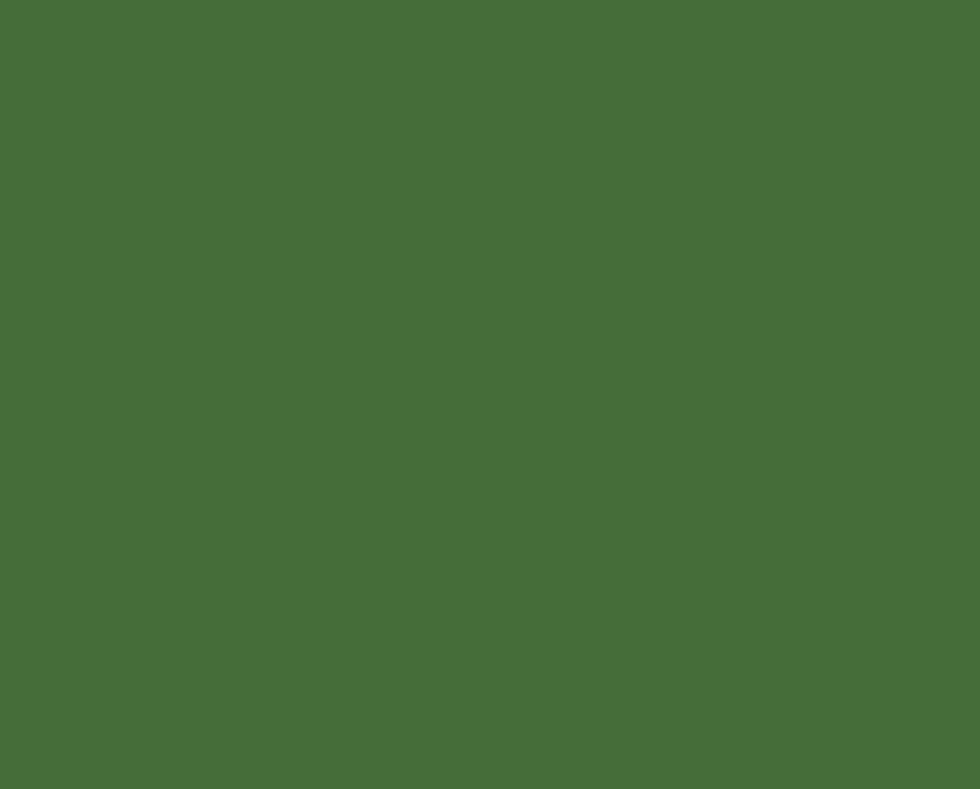 Ral 6010 Ral 6010