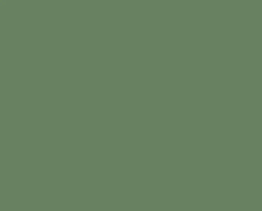 Ral 6011 Ral 6011