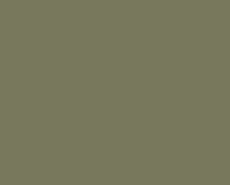 Ral 6013 Ral 6013