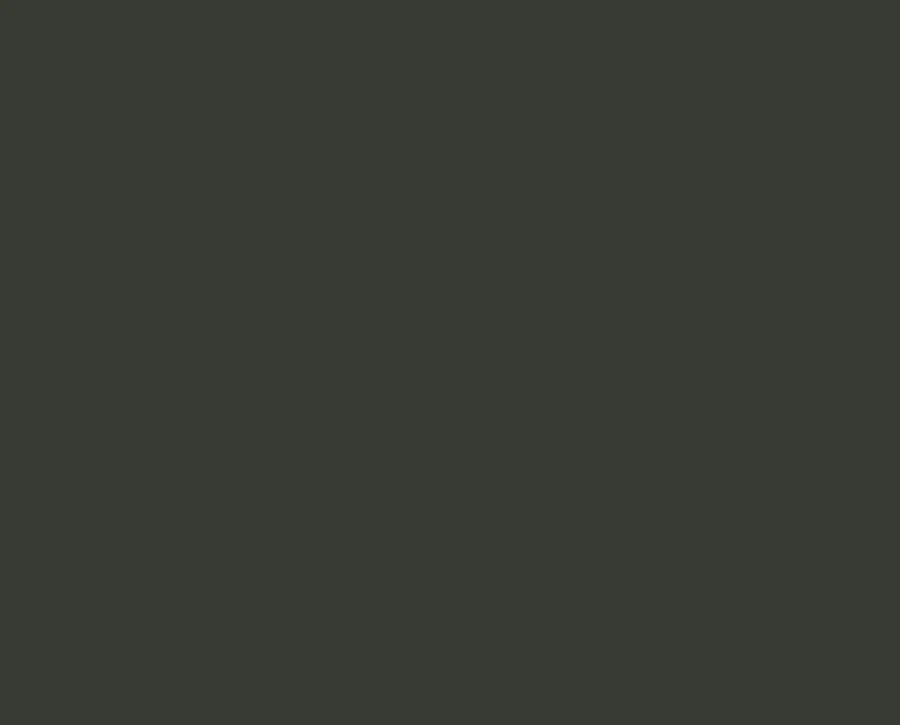 Ral 6015 Ral 6015