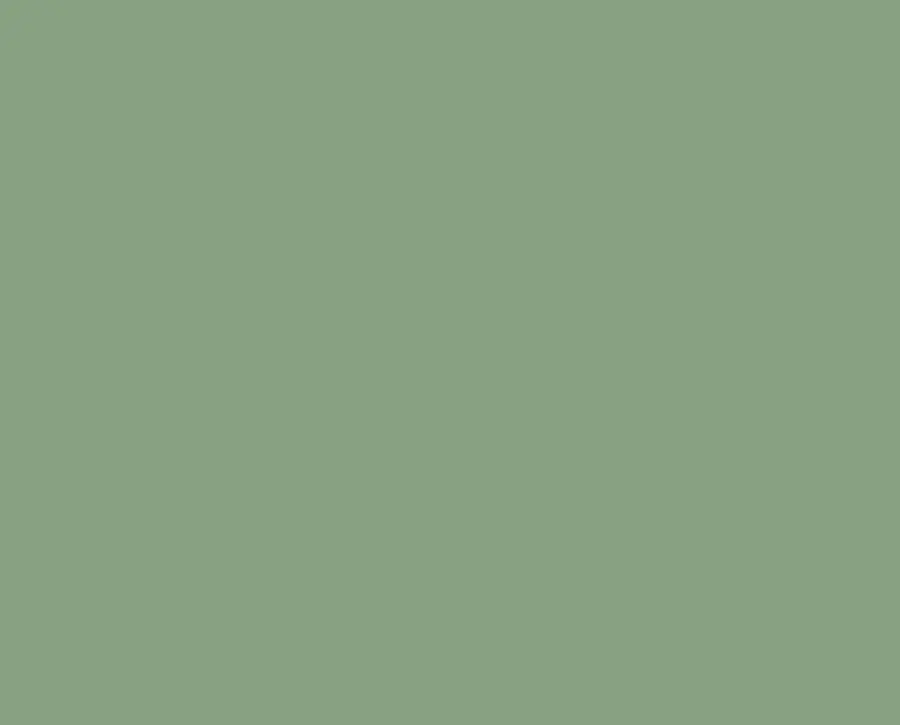 Ral 6021 Ral 6021