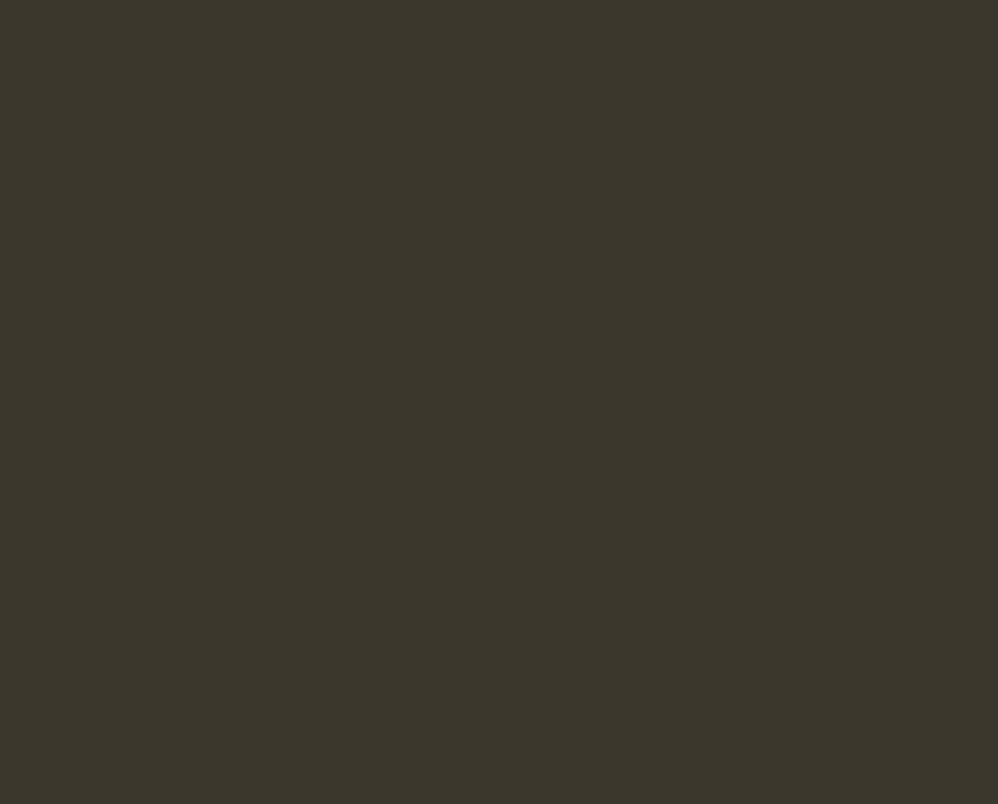 Ral 6022 Ral 6022