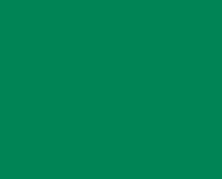 Ral 6024 Ral 6024