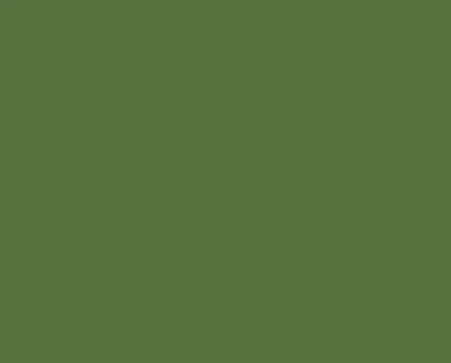 Ral 6025 Ral 6025